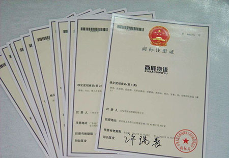 如何填写商标注册资料辰联知识产权帮您解答(图1)