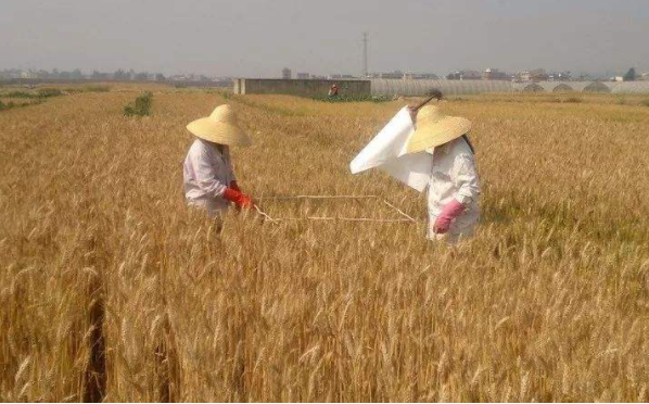 农村合作社如何注册商标？(图2)