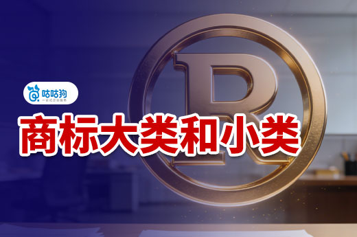 商标注册必知：什么是商标的大类和小类？如何选择商标类别？