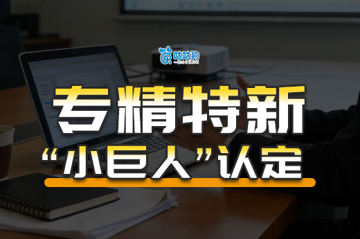4月1日起实施！2026年专精特新“小巨人”认定新标准