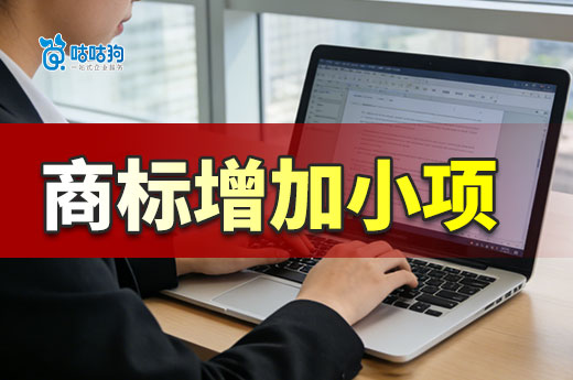 品牌扩张，已注册的商标如何增加小项？