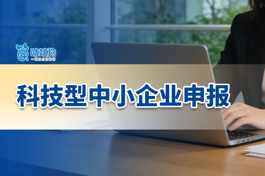 2026年科技型中小企业申报调整及要求