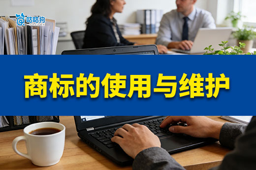守护品牌资产：商标规范使用与维护