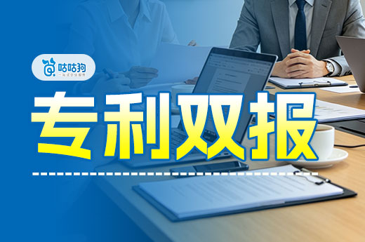 专利双报是什么？一文读懂 2026年审查规则调整及申请流程