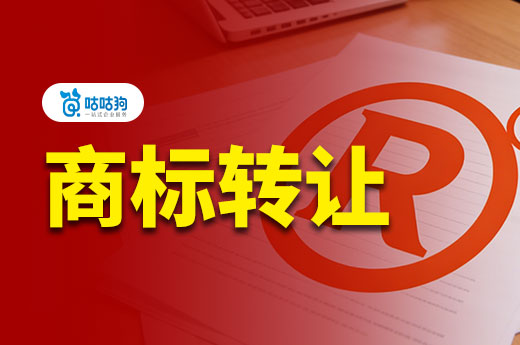 买商标可能遇到哪些风险？应该如何规避？